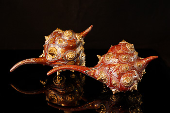 華やぎの陶－7人の女性陶芸家による表現－ | 展覧会のご案内