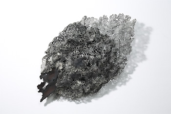 密なる世界－北陸 気鋭の四作家たち－ | 展覧会のご案内 | セイコー